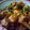 Subhashree Ramkumar 's cooksnap of when they made ஸ்பைசி மஷ்ரூம் மசாலா.