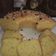 Cooksnap dari Henie Jayantie untuk resep Bolu Pisang Panggang #Pr_Babananakeik