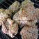 Cooksnap dari Pujiati_Aden untuk resep Tahu walik krispy