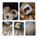 Cooksnap dari ninukdali untuk resep Doughnut 