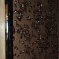 Cooksnap dari Susi Amelia untuk resep Brownies vegan gluten free