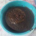 El cooksnap de Mariana Sellanes cuando hizo Torta al Microondas.