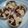 Cooksnap dari Nuvie Syerli untuk resep Bolu kukus mekar