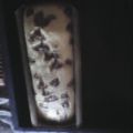 El cooksnap de vanina cuando hizo Budín! Fácil y rico!.