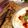 Gayatri joshi 's cooksnap of when they made મેગી-મસાલા પરાઠા.