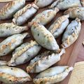 El cooksnap de Eugenia cuando hizo Tapas de empanadas fáciles y ricas 🥟.