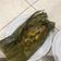 Cooksnap dari Damayanti Gurning untuk resep Pepes ikan kembung