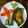 Sanchita Das(Titu)'s cooksnap of when they made ফুলকপির পাতুরি (fulkopir paturi recipe in Bengali).