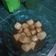 Cooksnap dari Meily Yantiy untuk resep Pempek Sutra