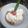 Cooksnap dari Bunda Pipit untuk resep Bubur sumsum lembut
