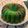 Cooksnap dari anizetya ( USA ) untuk resep Bolu Pandan Santan (wangiii + guriihh bgt😍)