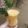 Safa Ahmed's cooksnap of when they made Mango shake.