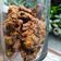 Cooksnap dari Sherly Lhe untuk resep Oat Chocochips Cookies