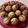 Cooksnap από Anja Edler στη συνταγή Banana & chocolate chips muffins (σοκολάτα- μπανάνα)