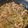 Cooksnap από Athina Ypodimatopoulou στη συνταγή Stir-fry χοιρινού με πράσα (Cong Bao Rou Si) C&G