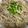 闕琪琪 的 奶油炒金針菇 cooksnap