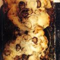 Ashley Lester's cooksnap of when they made Chicken Lombardy.