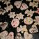 El cooksnap de Tatiana Bell cuando hizo Galletas fáciles y rápidas.