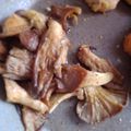 Cooksnap από Strata Al. στη συνταγή Εύκολα μανιτάρια πλευρώτους στο σχαροτήγανο