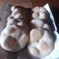El cooksnap de Maria Laura Graña cuando hizo Tortas fritas 🥯.
