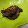 Cooksnap dari Putri JFA untuk resep Daging gepuk santan goreng