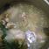 Cooksnap dari Aidha Pratiwi untuk resep Sop ayam pak min klaten ala2 😬