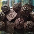 El cooksnap de Luci Garcia Garcia cuando hizo Muffins de avena y chocolate (sin tacc, sin azúcar).