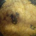 Cooksnap dari Chaya Okta Icha untuk resep Nasi Kuning Perkedel rice cooker