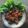 Cooksnap dari Putri(Dapur Ryuna)✅ untuk resep Beef with BBQ Sauce