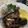 Cooksnap dari Caesilia S.P. untuk resep Sirloin Steak Ala Holycow