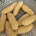 Cooksnap dari Intan Septiani untuk resep Pempek Dos Ny. Liem (Kapal Selam dan Lenjer)