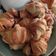 palacsinta_ Cooksnap-ja, amikor elkészítette a(z) 🥐Croissant 🥐 receptet.