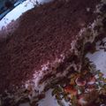 El cooksnap de Iván cuando hizo Tiramisú (sin horno y sin huevo).