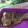 Cooksnap dari Chika Soepandi untuk resep Ikan nila goreng bandungrecook2_andreniagiawati