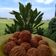 Cooksnap dari Buk Sih untuk resep Bola tahu rambutan isi sosis