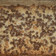 spartanman's cooksnap of when they made ▪Hello Dolly Bars▪.