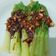 Cooksnap dari anggun nursakti untuk resep Pokcoy Bawang Putih