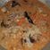 Cooksnap dari Febri Rahayu untuk resep Gulai ontong (jantung pisang)
