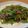 小媽簡單煮 的 沙茶牛肉炒空心菜 cooksnap