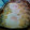 El cooksnap de amy cuando hizo Judías verdes con bechamel y huevos.