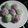 Cooksnap dari Niken A untuk resep Kelpon lumeria