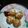 Cooksnap dari Lukie Lazuardi untuk resep Bola nasi crispy
