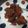 Cooksnap dari Alsty untuk resep Ayam goreng bumbu barbeque