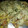 Cooksnap dari Hui Ling untuk resep Pizza simple,mudah dan cpt