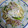 El cooksnap de Lu Palmer cuando hizo Tallarines de calabacín a la carbonara.