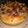 El cooksnap de Laura Noemi Monzon cuando hizo Panettone de nuez y chocolate.