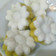 Cooksnap dari Sumarmi Kingking untuk resep Putu Ayu Labu Kuning