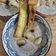 Cooksnap dari Hanne untuk resep Mushroom Cream Soup (124)