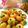 Cooksnap dari Miryam Manuela untuk resep Cookies jeruk (tanpa telor)