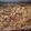 Sandra Chase's cooksnap of when they made My Mom's Homemade Bread Pudding.
